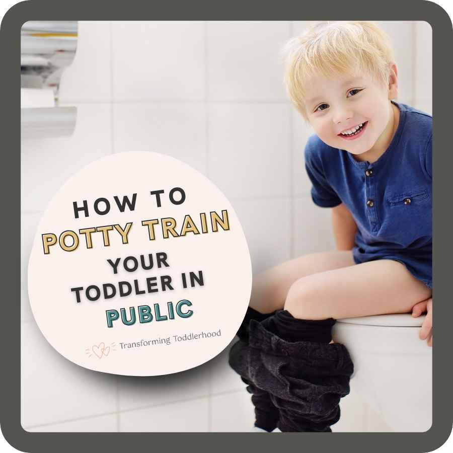 How To Potty Your Toddler In A Public Restroom